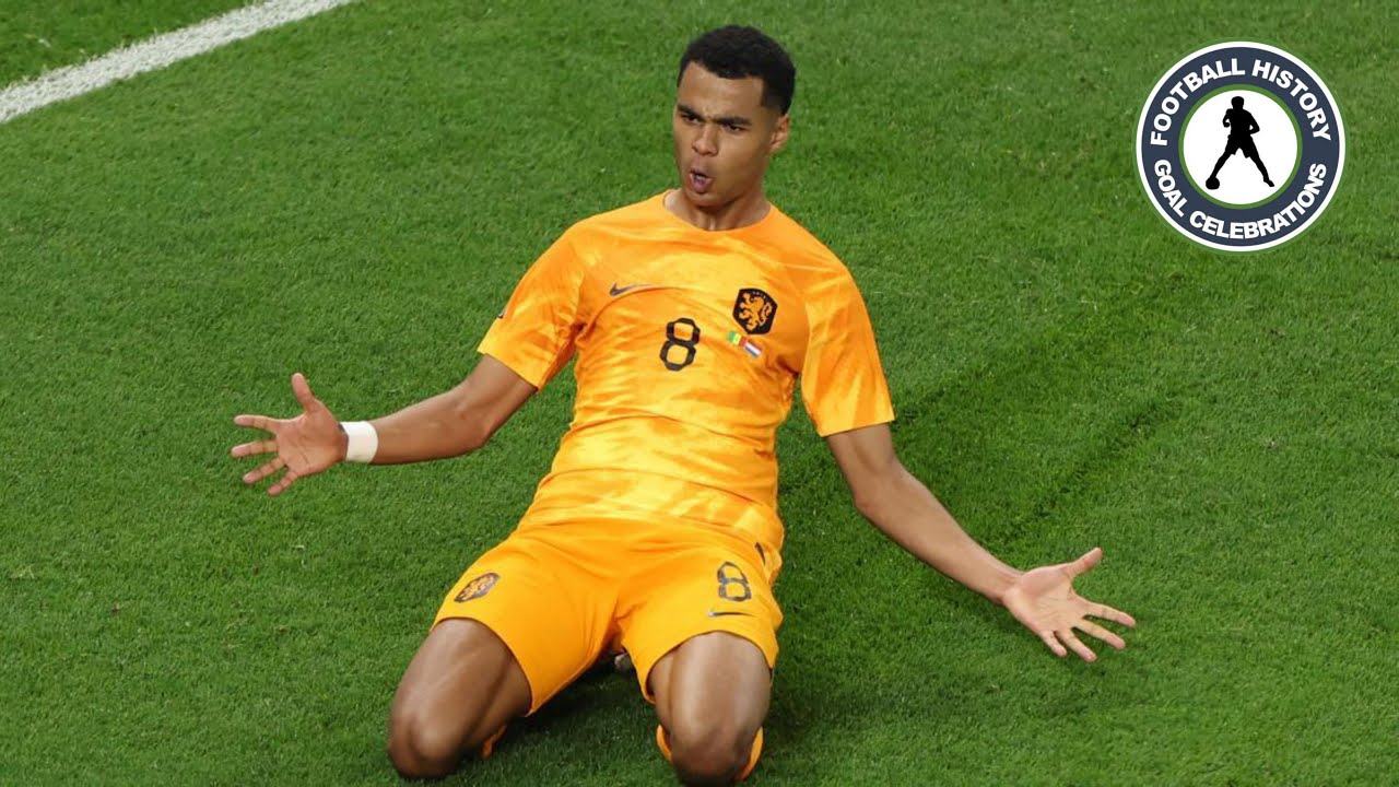 Netherlands goal celebration